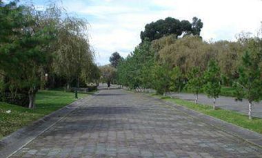 RENTA DE CASA EN VALLE DE ZAMARRERO EN ZINACANTEPEC