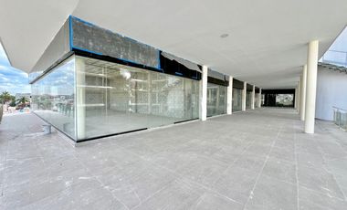 Local Plaza Punto Laguna