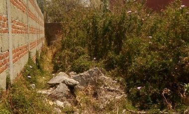 Terreno en Renta en Loma Linda Puebla