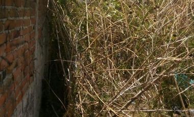 Terreno en Renta en Loma Linda Puebla