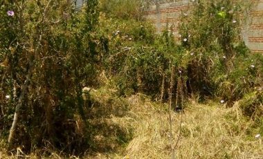 Terreno en Renta en Loma Linda Puebla