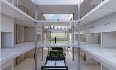 Local en Venta Luis Donaldo Colosio