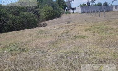 TERRENO EN VENTA, AGUACATITLA, HUASCA, HGO.