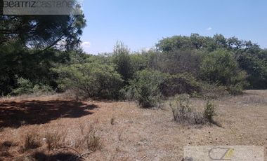 TERRENO EN VENTA, AGUACATITLA, HUASCA, HGO.