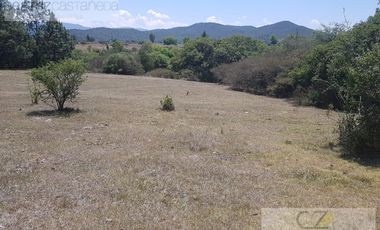 TERRENO EN VENTA, AGUACATITLA, HUASCA, HGO.