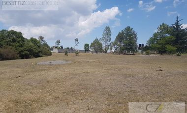 TERRENO EN VENTA, AGUACATITLA, HUASCA, HGO.