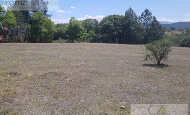 TERRENO EN VENTA, AGUACATITLA, HUASCA, HGO.