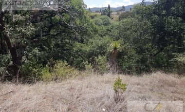 TERRENO EN VENTA, AGUACATITLA, HUASCA, HGO.