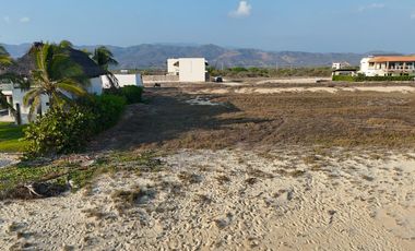VENTA DE TERRENO FRENTE  A PLAYA PALMARITO, BAJOS DE CHILA, OAXACA