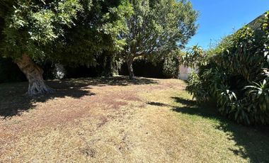 Terreno comercial en renta en Colonia La Paz