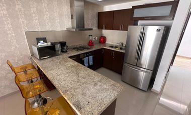 Departamento en  Marina Platino