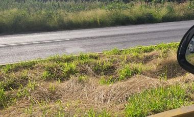 Terreno en Renta Libramiento Sur Poniente