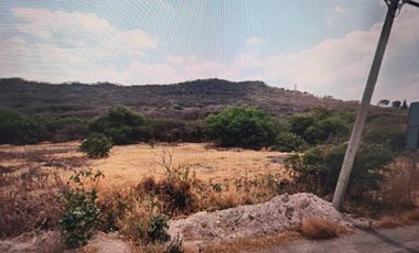 Terreno en Renta Libramiento Sur Poniente