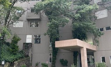 Departamento en Renta en Fraccionamiento Villa Florence