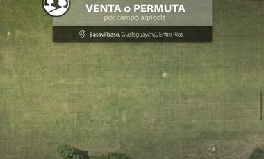 Campo en  Basavilbaso