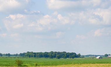 Campo en  Basavilbaso