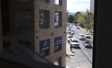 Oficina - Hacienda de las Palmas