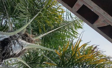 Venta / Departamento / 3 Ambientes / Con cochera / villa dominico/ apto credito