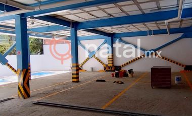 OFICINA CONSULTORIO RENTA LA PAZ PUEBLA