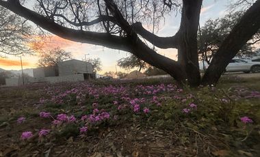 TERRENO EN VENTA EN CARRETERA NACIONAL