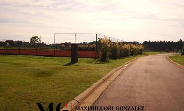 Lote venta San Felipe Canning