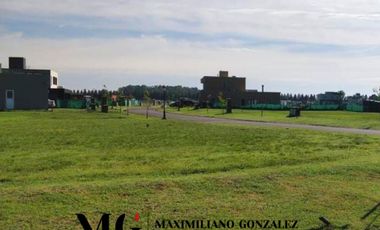 Lote venta San Felipe Canning