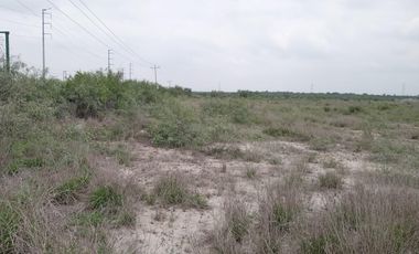 TERRENO EN RENTA EN SALINAS VICTORIA NL