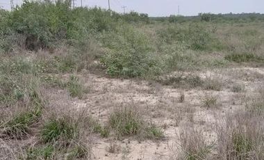 TERRENO EN RENTA EN SALINAS VICTORIA NL