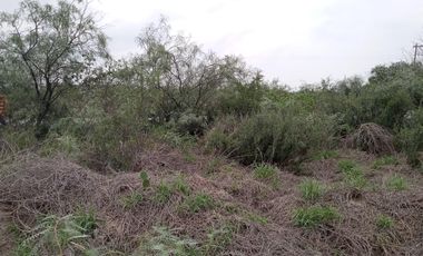 TERRENO EN RENTA EN SALINAS VICTORIA NL
