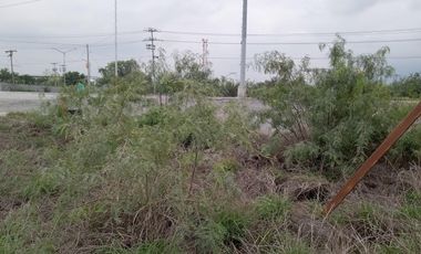 TERRENO EN RENTA EN SALINAS VICTORIA NL