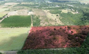 TERRENO CAMPESTRE EN VENTA CADEREYTA N.l