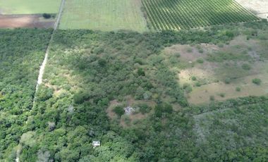 TERRENO CAMPESTRE EN VENTA CADEREYTA N.l