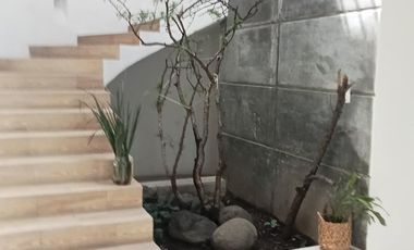 Casa en Renta Para Oficinas