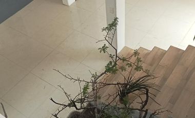 Casa en Renta Para Oficinas