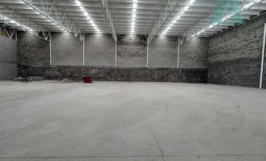 Renta de Bodega Industrial por Carr. a Cd.Cuahútemoc, Armmal