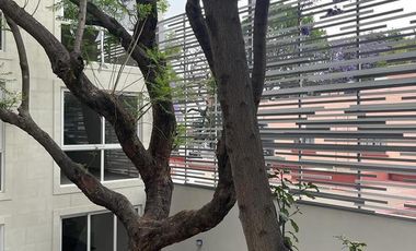 Departamento - Del Valle Centro