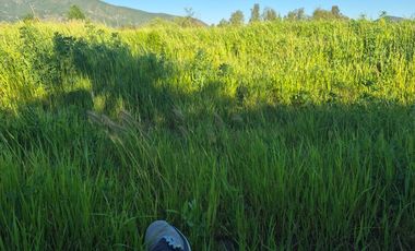 OPORTUNIDAD DE PARCELA EN PICHIDEGUA