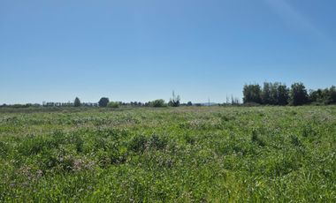 OPORTUNIDAD DE PARCELA EN PICHIDEGUA