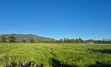 OPORTUNIDAD DE PARCELA EN PICHIDEGUA