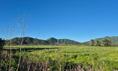 OPORTUNIDAD DE INVERSIÓN EN PICHIDEGUA