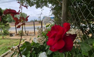 ARRIENDO EN SECTOR TRANQUILO DE LAS CABRAS