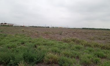 TERRENO INDUSTRIAL EN RENTA EN SALINAS VICTORIA N.L.
