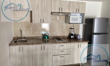 Departamento Amueblado en Renta Residencial Anahuac