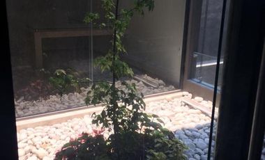 Oficina en Renta Zona la Paz