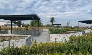 Local en  Super Plaza Miramontes, Canal de Miramontes