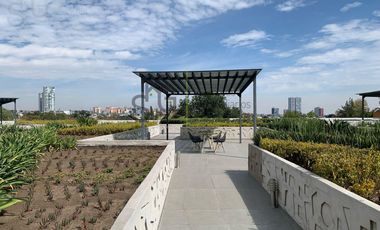 Local en  Super Plaza Miramontes, Canal de Miramontes