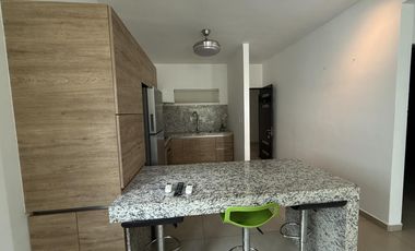 Departamento en RENTA Amueblado T. Cova1 a 10 min de San Pedro y UdeM  Monterrey