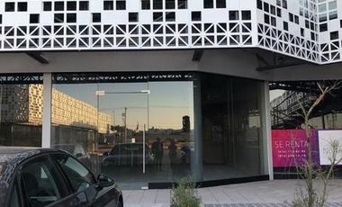 RENTA DE LOCAL EN TEOFILO BORUNDA PLAZA NORTICA