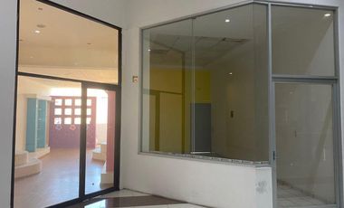 Local - León