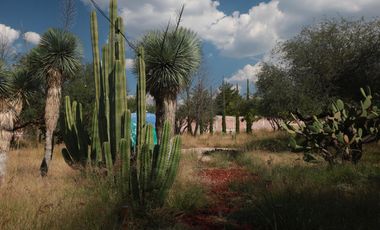 Quinta en San Miguel de Allende 1 hectarea